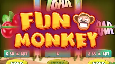 fun monkey